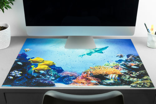 Schreibtischunterlage Unterwasserwelt mit Fischen