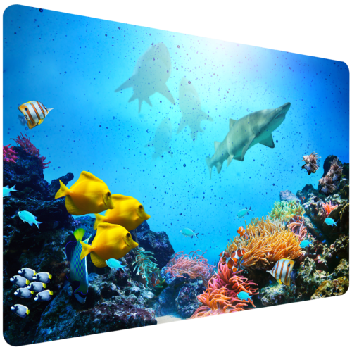 Schreibtischunterlage Fische