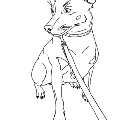 Hund