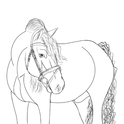 pferd ausmalbild