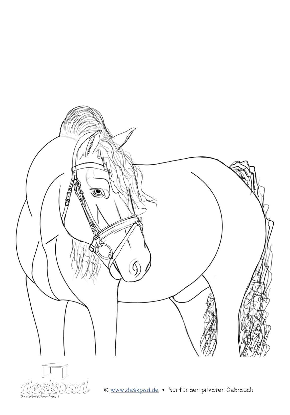 pferd ausmalbild