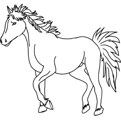 Pferd Ausmalbild