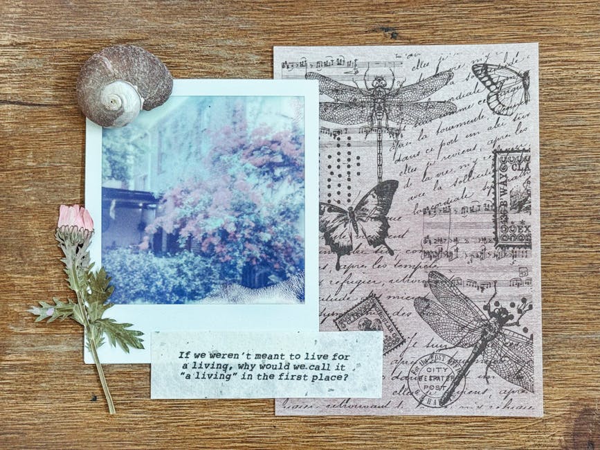 Artistic collage featuring a polaroid photo, nature elements, and vintage design touches.
