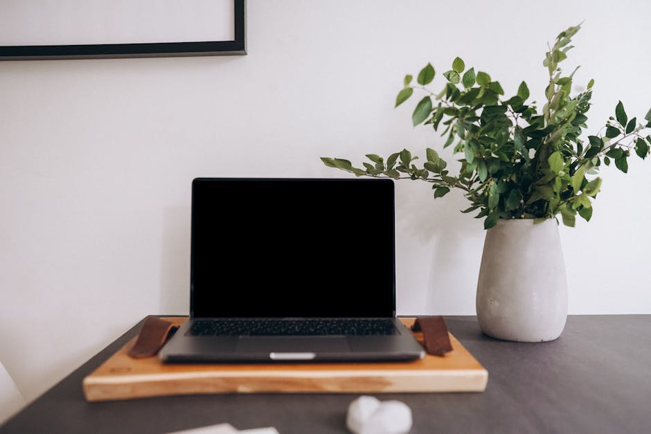 A modern home workspace featuring a laptop and a vase of green plants.